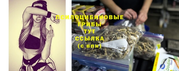 гидра Нязепетровск