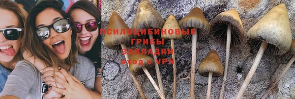 гидра Нязепетровск