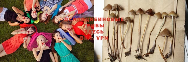 гидра Нязепетровск