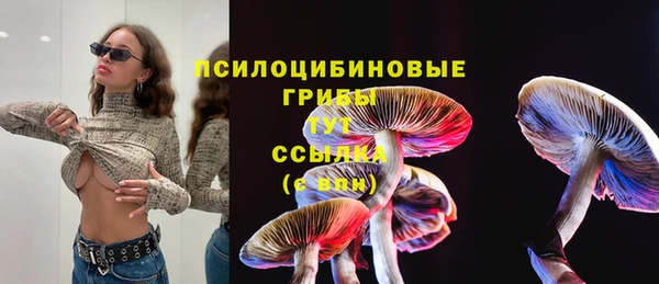 гидра Нязепетровск