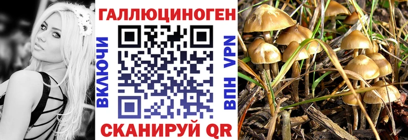 где продают наркотики  Берёзовский  Галлюциногенные грибы MAGIC MUSHROOMS 